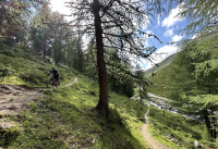 Event Ein Tag im ParadiesA day in paradise