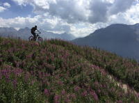 Event Mittags oder Nachmittagstour mit BBQ oder Picnic / St. Moritz & Engelberg